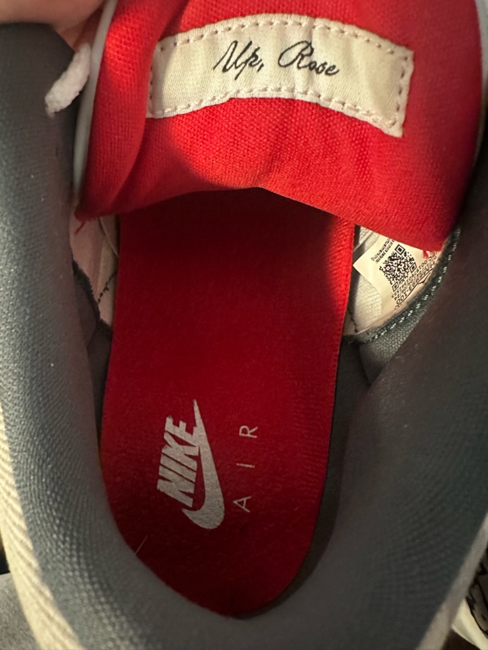 Air Jordan 3 Retro Wings - Picture 11 of 13